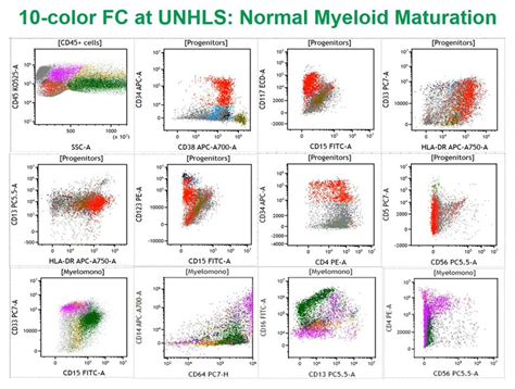 Basics Of Clinical Flow Cytometry Webinar