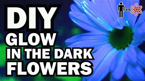 Ane Kristiansen: Glow In The Dark Flowers Diy - Interflora Glow in the Dark flowers! Spooky ...