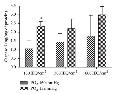 Islet Viability A Islet Viability At Each Cell Density After