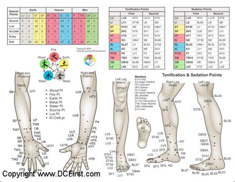 Applied Kinesiology Chart Set