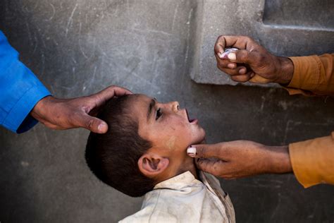 Polio’s Return After Near Eradication Prompts A Global Health Warning The New York Times