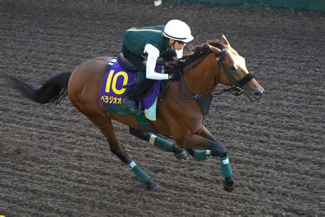 【宝塚記念】べラジオオペラ・横山和生騎手 「一本芯が通ってきたかなと強く感じます」 サンスポzbat