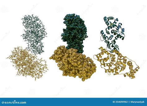 Crystal And Molecular Structure Of Human Annexin V After Refinement ...