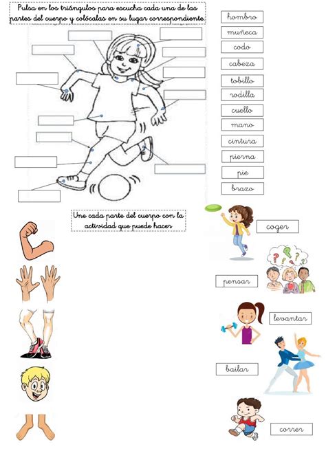 Movimientos De Partes Del Cuerpo Ejercicios De Educacion Fisica Nbkomputer