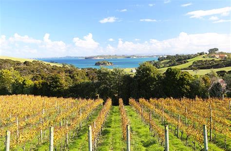 7 Of The Best Wineries In And Around Auckland | Auckland | The Urban List