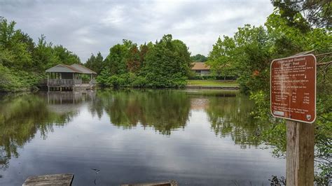 Getting To Know Virginia Lake Anna State Park