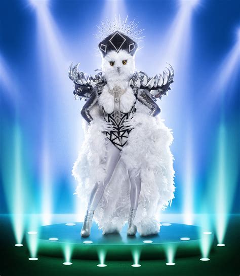 Who is Night Owl on The Masked Singer US? | What to Watch