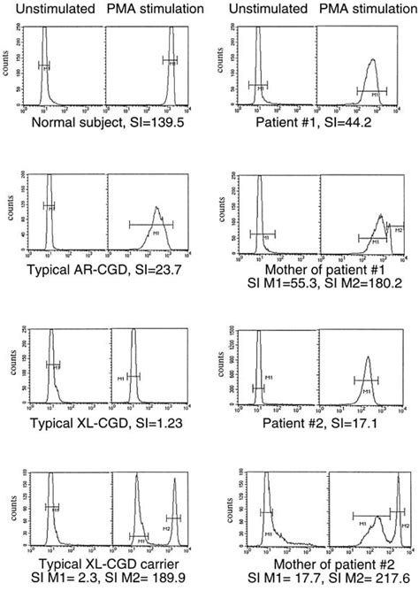 Diagnostic Paradigm For Evaluation Of Male Patients With Chronic