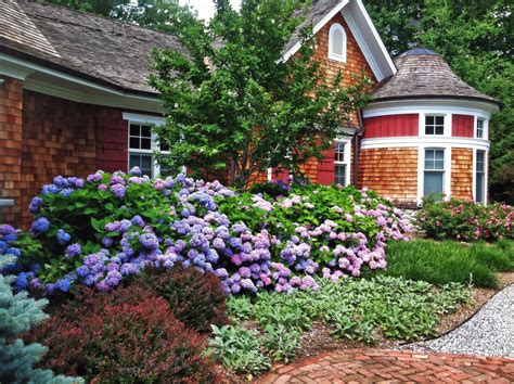 15 Foolproof Shrubs You Can Use To Spice Up Your Landscaping This Old