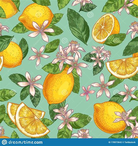 Lemon Blossom Seamless Pattern Hand Drawn Yellow Lemons With Green