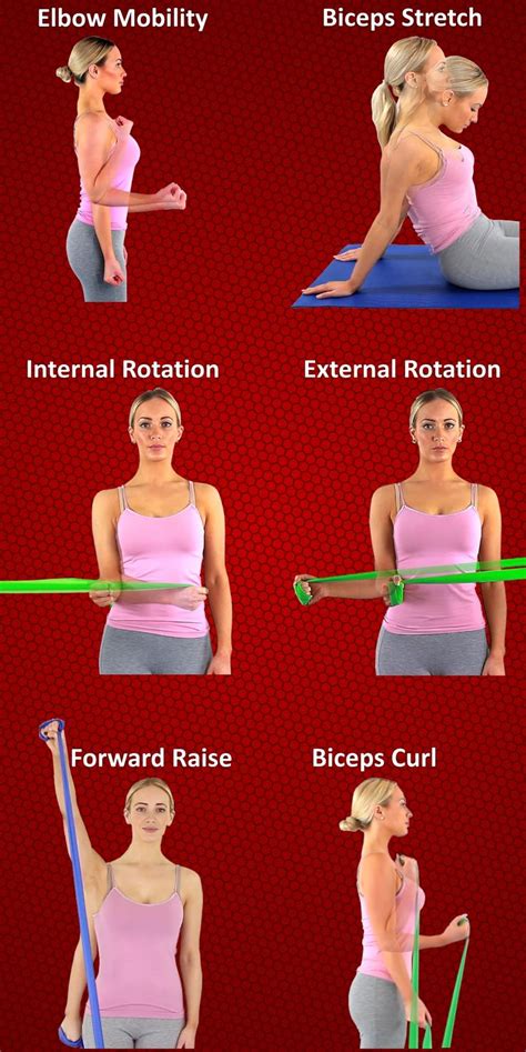 biceps tendonitis exercises pdf uk - Birdie Nagel