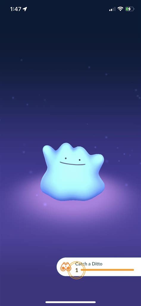 Ive Been Looking For A Ditto For Months And I Finally Found One