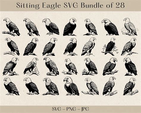 Sitting Eagle SVG Eagle SVG Eagle SVG Bundle Eagle Svg Files For