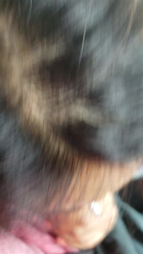 Met Latina At Gym Sucked Off Twice Free Porn 5a XHamster XHamster