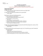 LBL-16. Body Building Ch 24 Nerves 2019 2 .docx - BIOL 102 Biology Now ... 