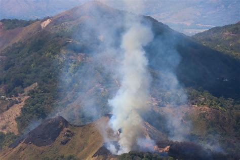 Más De 12800 Hectáreas Arrasadas Por Incendios En Colombia Periódico