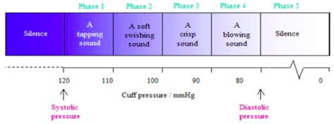 Foundations Vital Signs Flashcards Quizlet