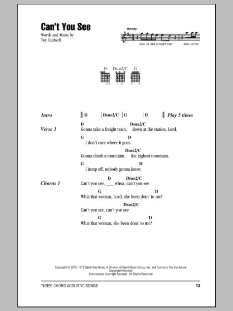Cant You See Guitar Chordslyrics Zzounds