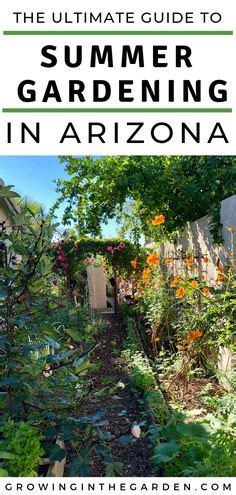 120 Best Arizona Gardening ideas in 2024 | arizona gardening, desert ...