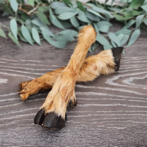 Anco Naturals Hairy Goat Feet - Single - Green Pawprints - Natural Pet ...