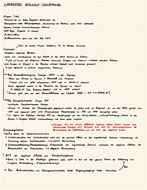 K1 Lernzettel Zu Zellatmung LERNZETTEL BIOLOGIE ZELLATMUNG Enzyme