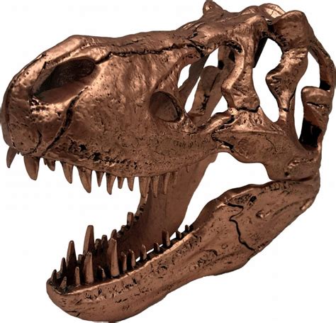 Jurassic Park / T-Rex Skull Scale Prop Replica | HLJ.com