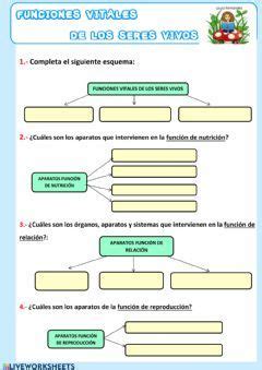 Funciones Vitales De Los Seres Vivos Ficha Interactiva Topworksheets Images