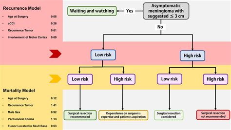 Surgical Decision Making Tree For The Elderly Patients With