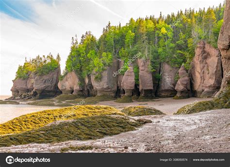 Rock Formations In Hopewell Rocks Park New Brunswick Stock Photo By