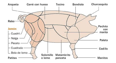 Cortes De Carne De Cerdo De Argentina Locos X La Parrilla