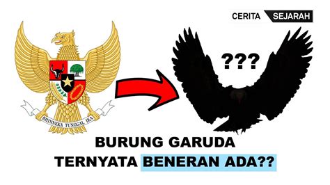 Mengapa Lambang Negara Indonesia Burung Garuda Sejarah Arti And Makna