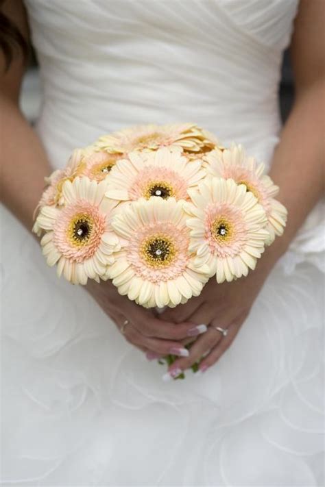 Brautstrauß aus cremefarbenen Gerbera Heiraten mit braut de