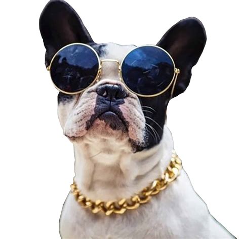 Cuban Link Gold Dog Chain - Pet Costume Center