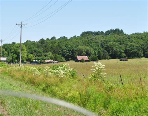 Arkansas Pig Trail - Arkansas 23 | Route Ref. #34769 | Motorcycle Roads