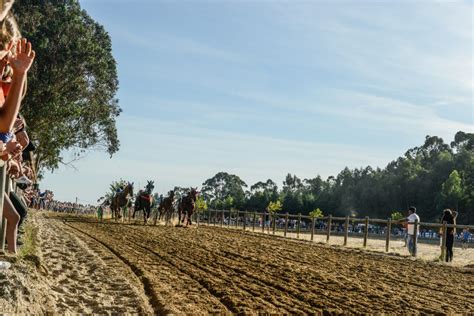 Centenas De Pessoas Na XXV Corrida De Cavalos Em Celorico De Basto