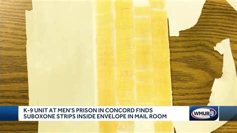 K 9 Unit At Mens Prison Finds Suboxone Strips Inside Envelope Youtube