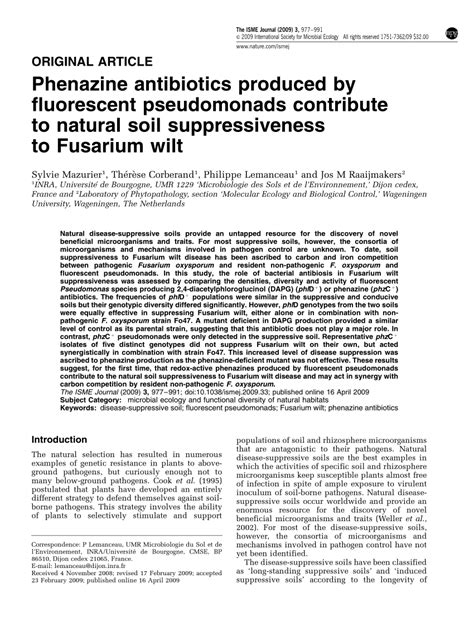 (PDF) Phenazine antibiotics produced by fluorescent pseudomonads ...