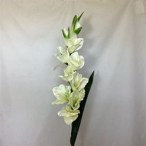 Large Gladiolus Spray Ivory - Village Green