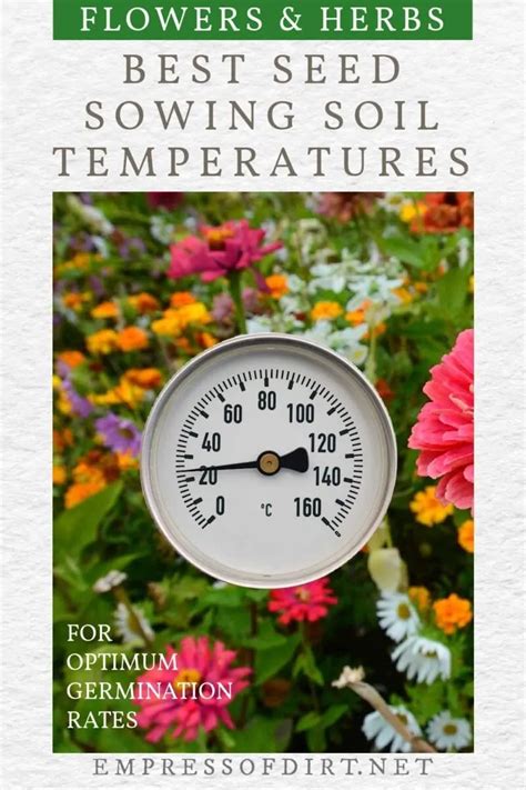 Best Soil Temperatures For Sowing Flower Herb Seeds