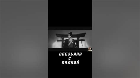 обезьяна с палкой - YouTube