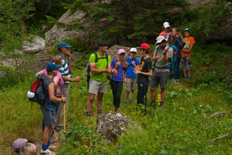 Pour découvrir la vie de berger en vallée d Ossau Pyrénées Magazine