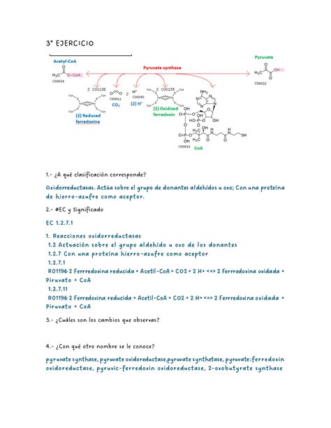 Solution Bioquimica Ejercicios De Clasificaci N De Enzimas Y Kgg