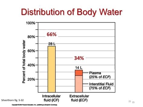 Ch Fluid Electrolyte Balance Part Flashcards Quizlet