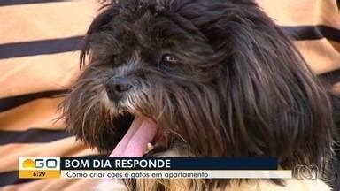 Bom Dia GO Bom Dia Responde Fala Sobre Cuidados Ao Criar Animais Em