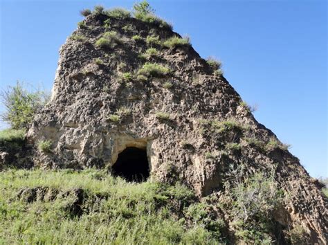 Chiński Wielki Mur korzysta z naturalnej biologicznej warstwy ochronnej