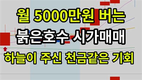 매매기법 평생 써먹는 무조건 월 5000이상 수익 내는 가장 확실한 시가매매법 공개합니다 주식초보도 쉽게 99 성공하는