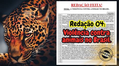 Reda O A Viol Ncia Contra Animais No Brasil Maus Tratos Aos