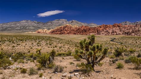 Calico Hills Red Rock Canyon Nevada Usa Foto And Bild Natur