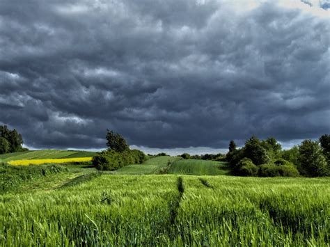 800x600 Resolution Green Grass Field Under Cloudy Sky Hd Wallpaper Wallpaper Flare