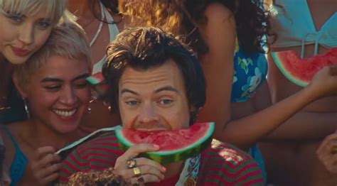 Harry Styles dedicates 'Watermelon Sugar' music video to 'touching ...